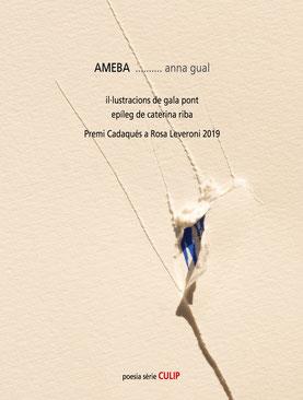 AMEBA | 9788481289992 | GUAL,ANNA | Llibreria Geli - Llibreria Online de Girona - Comprar llibres en català i castellà