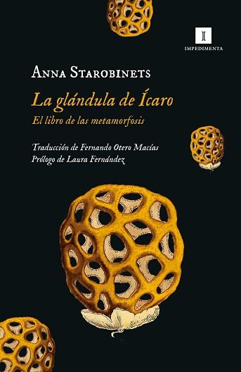 LA GLANDULA DE ICARO | 9788419581020 | STAROBINETS,ANNA | Llibreria Geli - Llibreria Online de Girona - Comprar llibres en català i castellà
