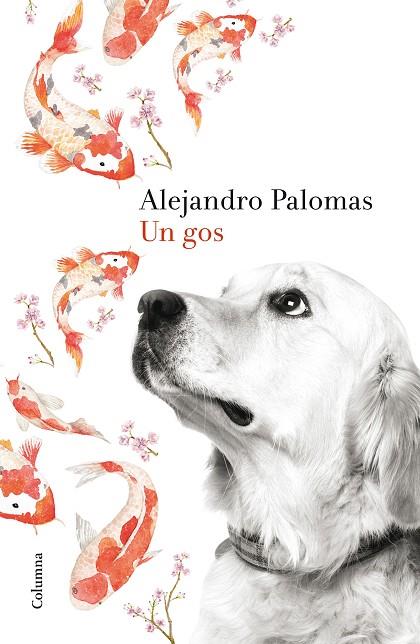 UN GOS | 9788466420426 | PALOMAS,ALEJANDRO | Llibreria Geli - Llibreria Online de Girona - Comprar llibres en català i castellà