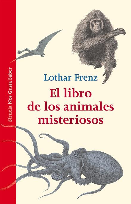 EL LIBRO DE LOS ANIMALES MISTERIOSOS | 9788416208357 | FRENZ,LOTHAR | Llibreria Geli - Llibreria Online de Girona - Comprar llibres en català i castellà