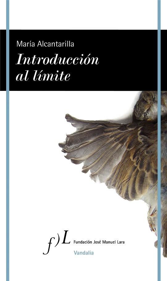 INTRODUCCIÓN AL LÍMITE | 9788417453176 | ALCANTARILLA,MARÍA | Llibreria Geli - Llibreria Online de Girona - Comprar llibres en català i castellà