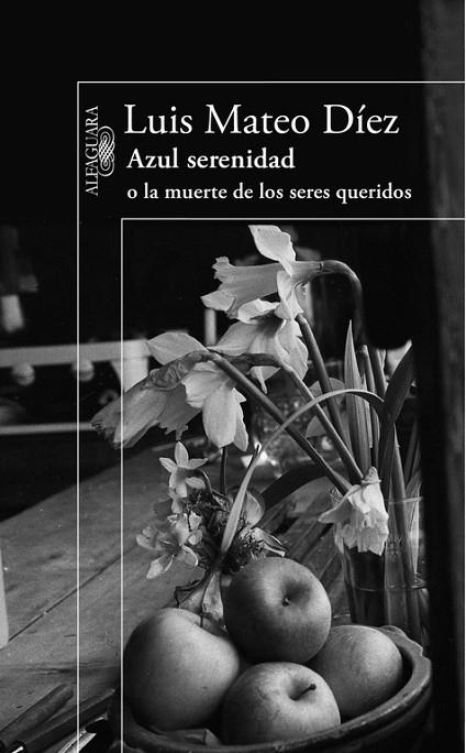 AZUL SERENIDAD O LA MUERTE DE LOS SERES QUERIDOS | 9788420406183 | DIEZ,LUIS MATEO | Llibreria Geli - Llibreria Online de Girona - Comprar llibres en català i castellà