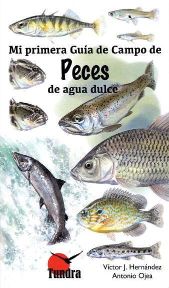 PECES DE AGUA DULCE(MI PRIMERA GUIA DE CAMPO) | 9788416702480 | HERNANDEZ,VICTOR | Llibreria Geli - Llibreria Online de Girona - Comprar llibres en català i castellà