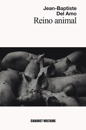 REINO ANIMAL | 9788494710827 | DEL AMO,JEAN-BAPTISTE | Llibreria Geli - Llibreria Online de Girona - Comprar llibres en català i castellà