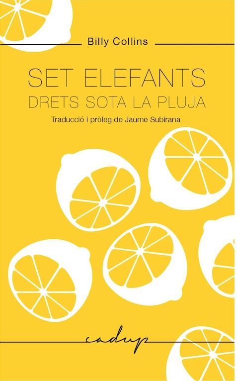 SET ELEFANTS DRETS SOTA LA PLUJA | 9788494943218 | COLLINS,BILLY | Llibreria Geli - Llibreria Online de Girona - Comprar llibres en català i castellà