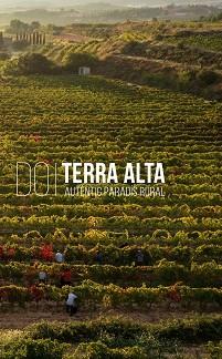D.O. TERRA ALTA.AUTÈNTIC PARADÍS RURAL | 9788418928734 | FERRÀS I SEBASTIÀ,ANNA | Llibreria Geli - Llibreria Online de Girona - Comprar llibres en català i castellà