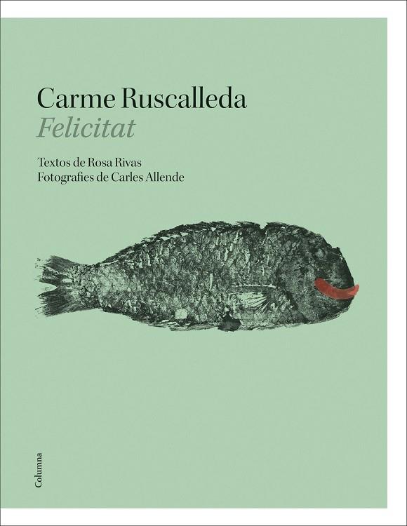 FELICITAT | 9788466424141 | RUSCALLEDA,CARME/RIVAS,ROSA | Llibreria Geli - Llibreria Online de Girona - Comprar llibres en català i castellà