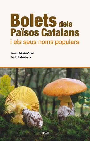 BOLETS DELS PAÏSOS CATALANS I ELS SEUS NOMS POPULARS | 9788496905986 | VIDAL FRIGOLA,JOSEP MARIA/BALLESTEROS SAGARRA, ENRIC | Llibreria Geli - Llibreria Online de Girona - Comprar llibres en català i castellà