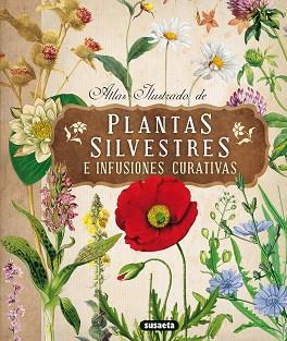 PLANTAS SILVESTRES E INFUSIONES CURATIVAS | 9788467722864 | TOMANOVÁ,ELISKA | Llibreria Geli - Llibreria Online de Girona - Comprar llibres en català i castellà