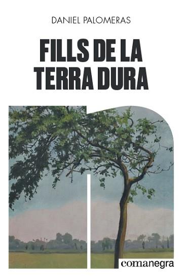 FILLS DE LA TERRA DURA | 9788418022296 | PALOMERAS,DANIEL | Llibreria Geli - Llibreria Online de Girona - Comprar llibres en català i castellà
