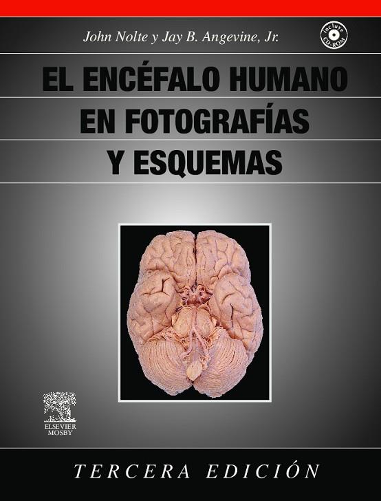 EL ENCÉFALO HUMANO EN FOTOGRAFÍAS Y ESQUEMAS(+CD-ROM.3ª EDICION 2009) | 9788480863759 | NOLTE | Llibreria Geli - Llibreria Online de Girona - Comprar llibres en català i castellà