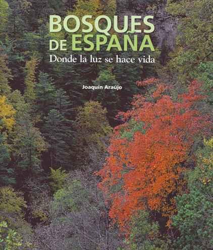BOSQUES DE ESPAÑA.DONDE LA LUZ SE HACE VIDA | 9788497856782 | ARAUJO,JOAQUIN | Llibreria Geli - Llibreria Online de Girona - Comprar llibres en català i castellà