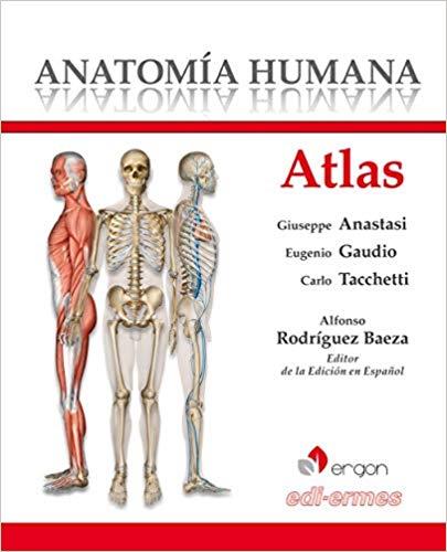 ANATOMÍA HUMANA.ATLAS | 9788870515947 | ANASTASI,GIUSEPPE/GAUDIO,EUGENIO/TACCHETTI,CARLO | Llibreria Geli - Llibreria Online de Girona - Comprar llibres en català i castellà