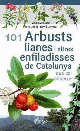 101 ARBUSTS,LIANES I ALTRES ENFILADISSES DE CATALUNYA QUE CAL CONÈIXER | 9788413560397 | LLOBET,TONI/CARRERA,DAVID | Llibreria Geli - Llibreria Online de Girona - Comprar llibres en català i castellà