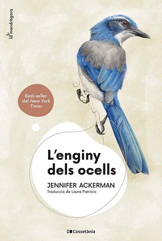 L'ENGINY DELS OCELLS | 9788413562544 | ACKERMAN,JENNIFER | Llibreria Geli - Llibreria Online de Girona - Comprar llibres en català i castellà