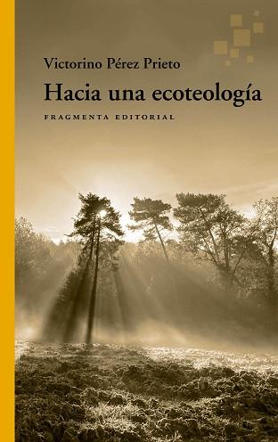 HACIA UNA ECOTEOLOGÍA | 9788417796815 | PÉREZ PRIETO,VICTORINO | Llibreria Geli - Llibreria Online de Girona - Comprar llibres en català i castellà