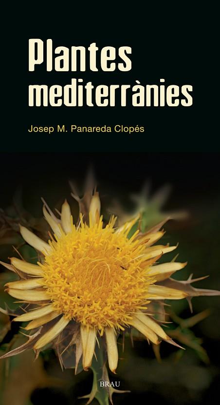 PLANTES MEDITERRANIES | 9788496905528 | PANAREDA CLOPES,JOSEP M. | Llibreria Geli - Llibreria Online de Girona - Comprar llibres en català i castellà