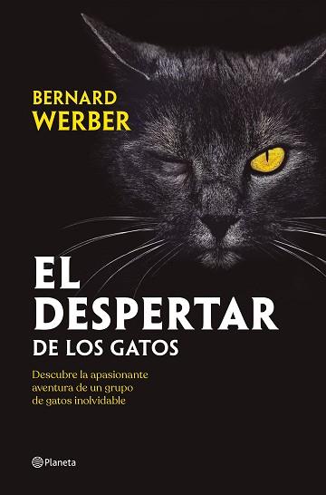EL DESPERTAR DE LOS GATOS | 9788408251835 | WERBER,BERNARD | Llibreria Geli - Llibreria Online de Girona - Comprar llibres en català i castellà