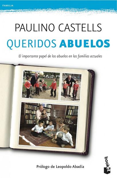 QUERIDOS ABUELOS.EL IMPORTANTE PAPEL DE LOS ABUELOS EN LAS FAMILIAS ACTUALES | 9788408041023 | CASTELLS,PAULINO | Llibreria Geli - Llibreria Online de Girona - Comprar llibres en català i castellà