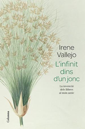 L'INFINIT DINS D'UN JONC | 9788466426947 | VALLEJO,IRENE | Libreria Geli - Librería Online de Girona - Comprar libros en catalán y castellano