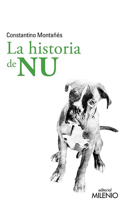 LA HISTORIA DE NU | 9788497439800 | MONTAÑÉS NÚÑEZ,CONSTANTINO | Llibreria Geli - Llibreria Online de Girona - Comprar llibres en català i castellà
