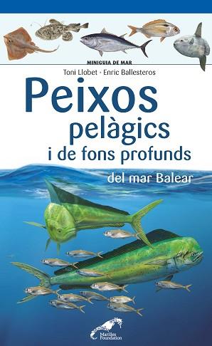 PEIXOS PELÀGICS I DE FONS PROFUNDS DEL MAR BALEAR | 9788490349397 | LLOBET FRANÇOIS, TONI/BALLESTEROS SAGARRA, ENRIC | Llibreria Geli - Llibreria Online de Girona - Comprar llibres en català i castellà