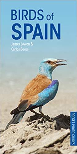 BIRDS OF SPAIN | 9781472949271 | LOWEN,JAMES/BOCOS,CARLOS | Llibreria Geli - Llibreria Online de Girona - Comprar llibres en català i castellà