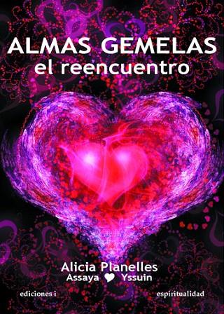 ALMAS GEMELAS.EL REENCUENTRO | 9788496851412 | PLANELLES JOST,ALICIA | Llibreria Geli - Llibreria Online de Girona - Comprar llibres en català i castellà