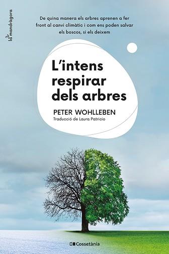 L'INTENS RESPIRAR DELS ARBRES | 9788413562087 | WOHLLEBEN,PETER | Llibreria Geli - Llibreria Online de Girona - Comprar llibres en català i castellà