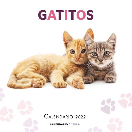 CALENDARIO GATITOS 2022 | 9788448028695 | AA. VV. | Llibreria Geli - Llibreria Online de Girona - Comprar llibres en català i castellà