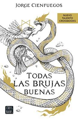 TODAS LAS BRUJAS BUENAS | 9788408260066 | CIENFUEGOS,JORGE | Llibreria Geli - Llibreria Online de Girona - Comprar llibres en català i castellà