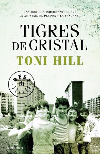 TIGRES DE CRISTAL | 9788466347204 | HILL,TONI | Llibreria Geli - Llibreria Online de Girona - Comprar llibres en català i castellà