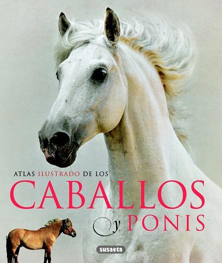 ATLAS ILUSTRADO DE CABALLOS Y PONIS | 9788467713053 | Llibreria Geli - Llibreria Online de Girona - Comprar llibres en català i castellà