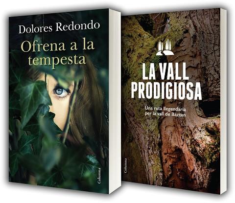 OFRENA A LA TEMPESTA + GUIA DE BAZTAN | 9788466419956 | REDONDO,DOLORES | Llibreria Geli - Llibreria Online de Girona - Comprar llibres en català i castellà