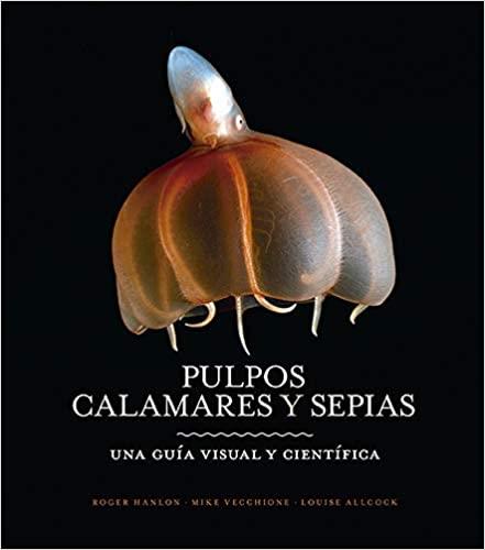 PULPOS,CALAMARES Y SEPIAS | 9788428217217 | HANLON,ROGER/VECCHIONE,MIKE/ALLCOCK,LOUISE | Llibreria Geli - Llibreria Online de Girona - Comprar llibres en català i castellà