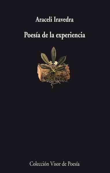 POESIA DE LA EXPERIENCIA | 9788475226514 | IRAVEDRA,ARACELI | Llibreria Geli - Llibreria Online de Girona - Comprar llibres en català i castellà