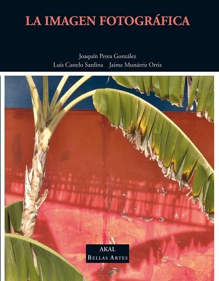 LA IMAGEN FOTOGRAFICA | 9788446020004 | CASTELO SARDINA, LUIS/MUNÁRRIZ ORTIZ, JAIME/PEREA, JOAQUÍN | Libreria Geli - Librería Online de Girona - Comprar libros en catalán y castellano