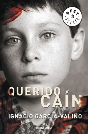 QUERIDO CAIN | 9788483465899 | GARCÍA VALIÑO,IGNACIO | Llibreria Geli - Llibreria Online de Girona - Comprar llibres en català i castellà