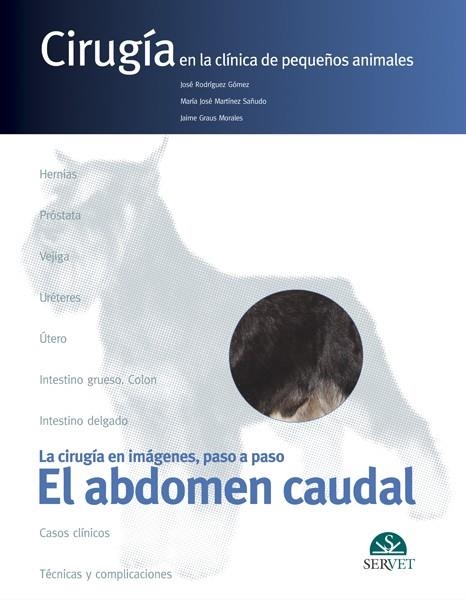 EL ABDOMEN CAUDAL | 9788493473693 | RODRIGUEZ GOMEZ,JOSE | Libreria Geli - Librería Online de Girona - Comprar libros en catalán y castellano