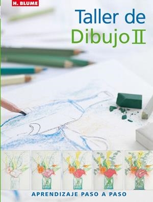 TALLER DE DIBUJO II | 9788496669369 | ISAAMAN, MARIE-CLAIRE | Llibreria Geli - Llibreria Online de Girona - Comprar llibres en català i castellà
