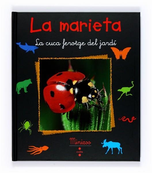 LA MARIETA.LA CUCA FEROTGE DEL JARDI | 9788466120555 | TRACQUI, VALÉRIE | Llibreria Geli - Llibreria Online de Girona - Comprar llibres en català i castellà