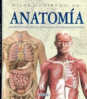 ATLAS ILUSTRADO DE ANATOMIA | 9788430534784 | RIGUTTI, ADRIANA | Libreria Geli - Librería Online de Girona - Comprar libros en catalán y castellano