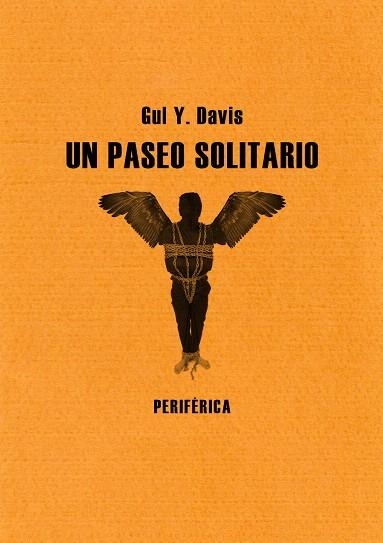 UN PASEO SOLITARIO | 9788493692636 | DAVIS,GUY Y. | Libreria Geli - Librería Online de Girona - Comprar libros en catalán y castellano