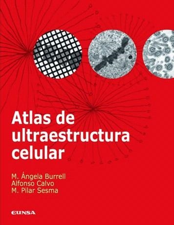 ATLAS DE ULTRAESTRUCTURA CELULAR | 9788431326494 | BURRELL,M.ANGELA/CALVO,ALFONSO/SESMA,M.PILAR | Llibreria Geli - Llibreria Online de Girona - Comprar llibres en català i castellà