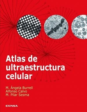 ATLAS DE ULTRAESTRUCTURA CELULAR | 9788431326494 | BURRELL,M.ANGELA/CALVO,ALFONSO/SESMA,M.PILAR | Libreria Geli - Librería Online de Girona - Comprar libros en catalán y castellano