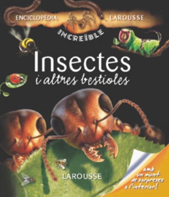 INSECTES I ALTRES BESTIOLES | 9788480165983 | Llibreria Geli - Llibreria Online de Girona - Comprar llibres en català i castellà