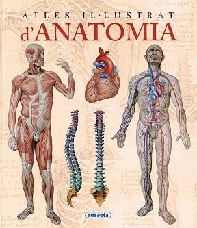 ATLES IL.LUSTRAT D'ANATOMIA | 9788467702101 | RIGUTTI, ADRIANA | Libreria Geli - Librería Online de Girona - Comprar libros en catalán y castellano