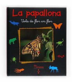LA PAPALLONA VOLA DE FLOR EN FLOR | 9788466125109 | TRACQUI, VALÉRIE | Llibreria Geli - Llibreria Online de Girona - Comprar llibres en català i castellà