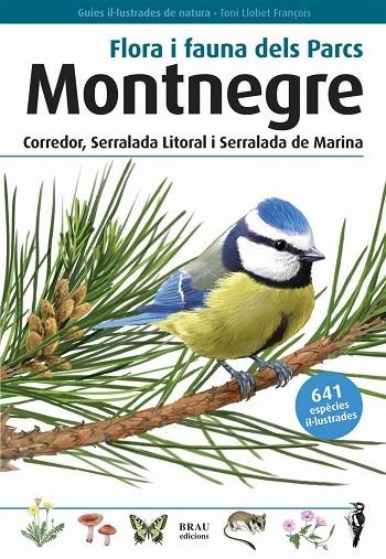 FLORA I FAUNA DELS PARCS MONTNEGRE.CORREDOR,SERRALADA LITORAL I SERRALADA DE MARINA | 9788496905405 | LLOBET FRANÇOIS,TONI | Llibreria Geli - Llibreria Online de Girona - Comprar llibres en català i castellà