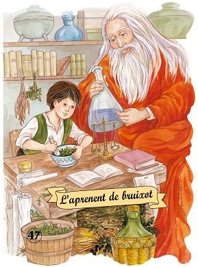 L'APRENENT DE BRUIXOT | 9788498255423 | GOETHE,JOHANN WOLFGANG VON | Libreria Geli - Librería Online de Girona - Comprar libros en catalán y castellano
